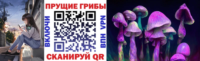наркотики  Бийск  Псилоцибиновые грибы мухоморы 