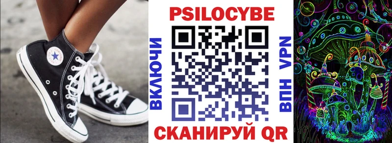 Псилоцибиновые грибы Cubensis Бийск